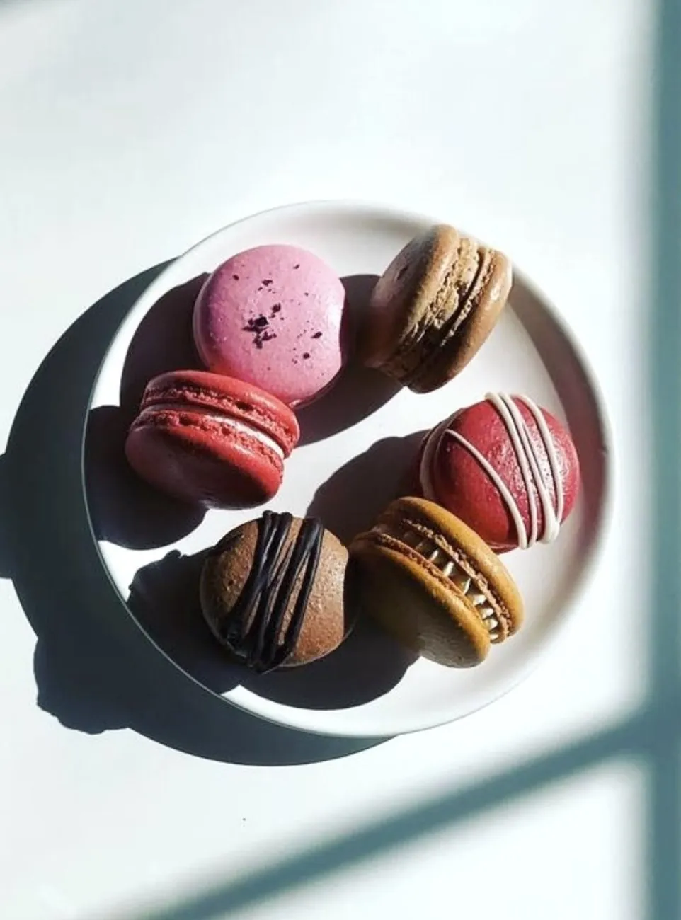 Macarons plated in soft window light